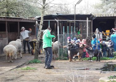 Ausflug zum Gnadenhof in Neureut