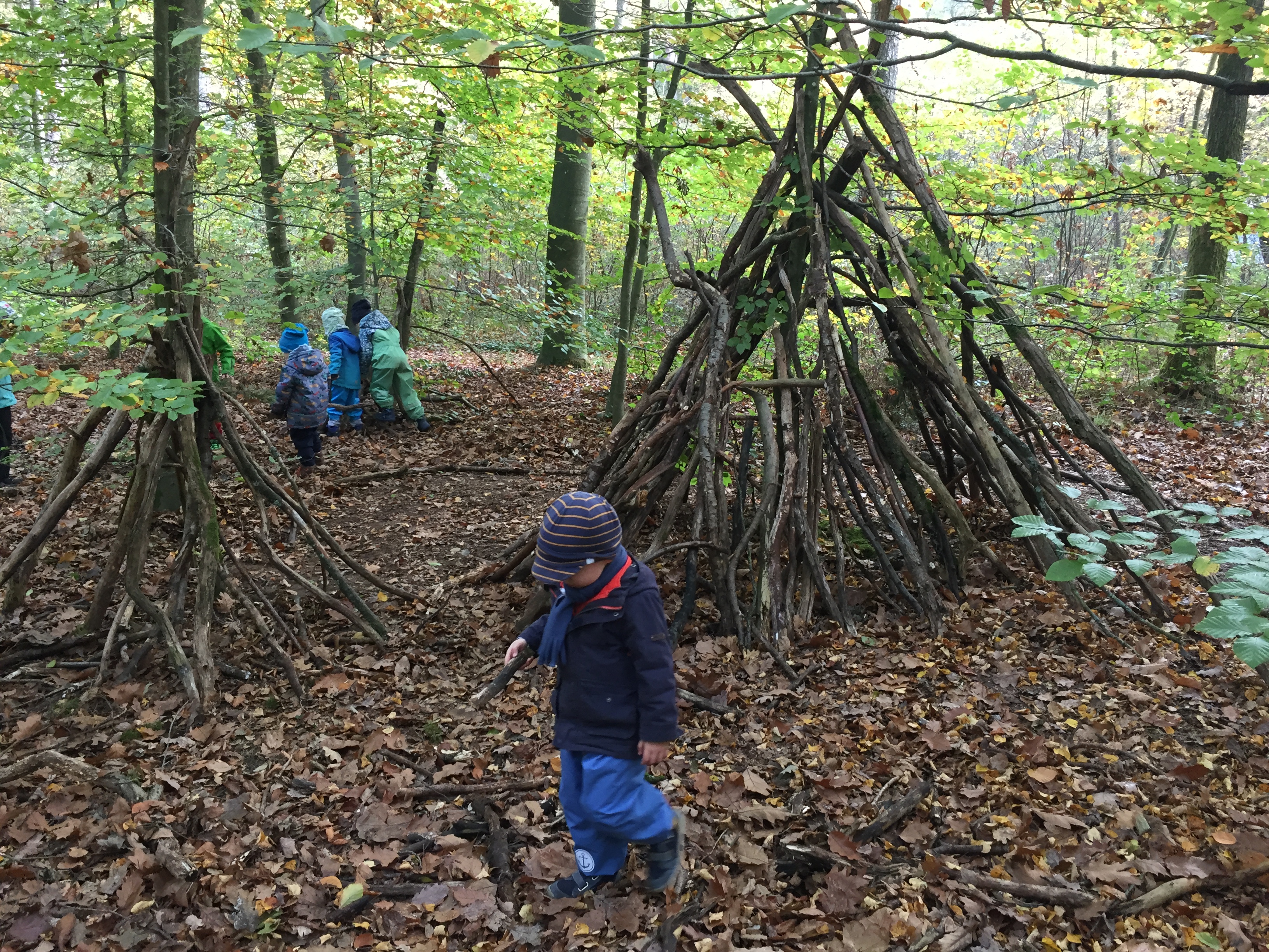 Der Wald- ein besonderer Ort