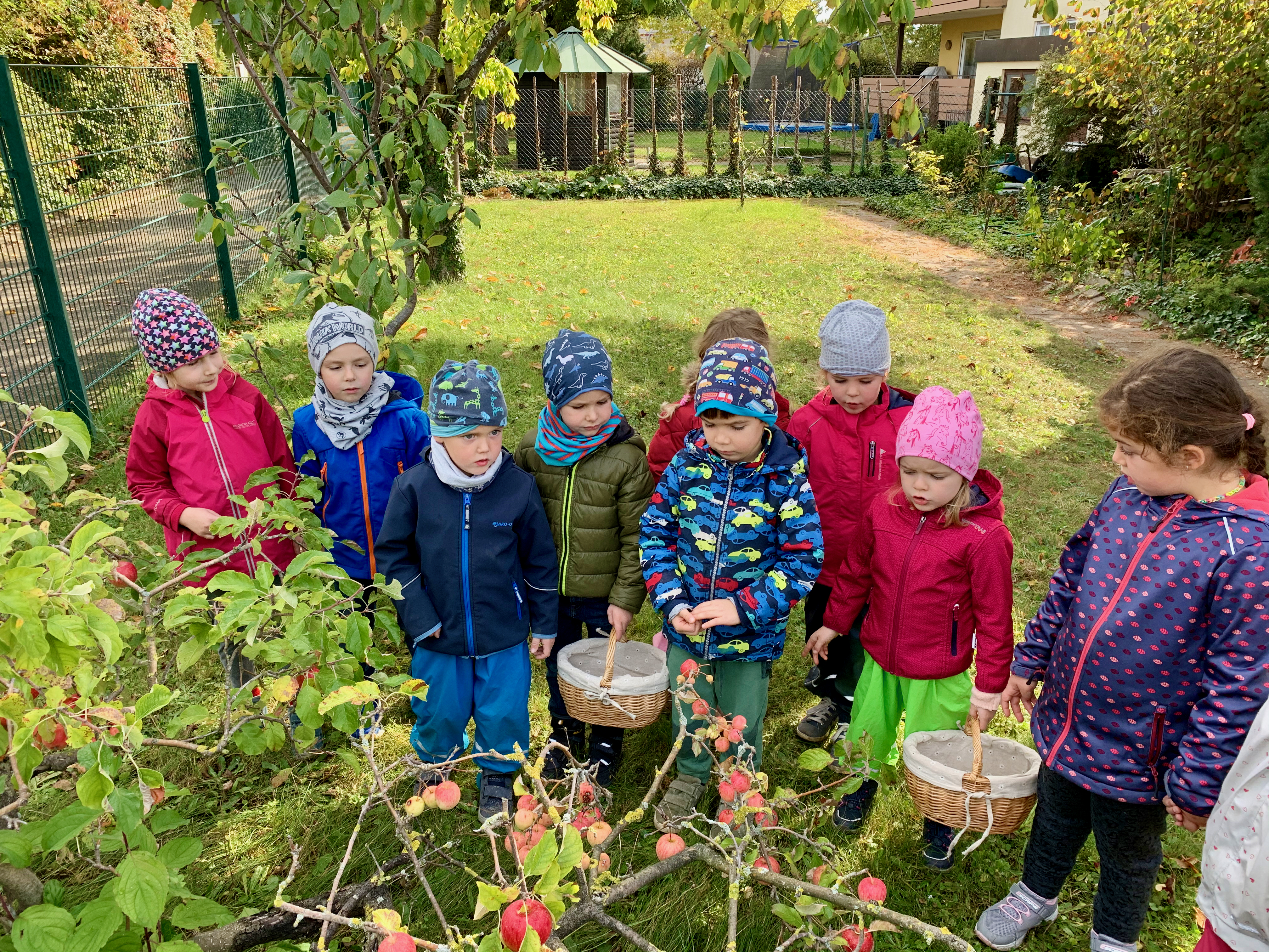 Apfelernte bei Familie Jockers
